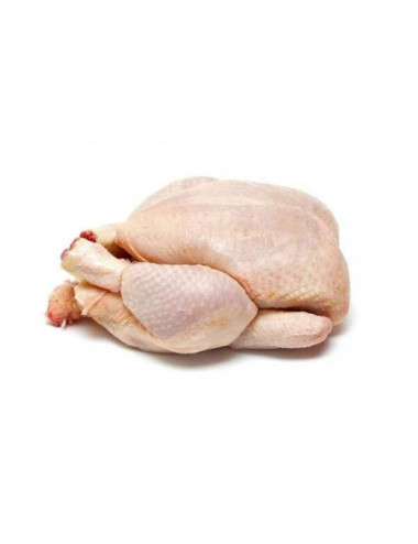 Poulet Fermier Blanc