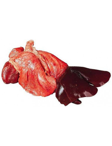 Fressure d'agneau