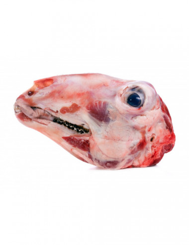 Tête d'agneau