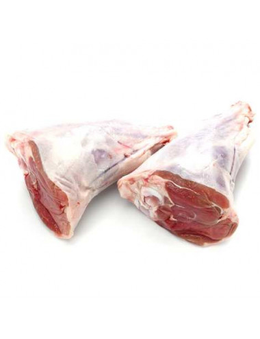 Souris Agneau